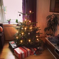 Unser Weihnachtsbaum vor der Bescherung