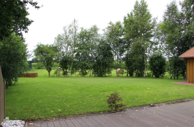 Monatsrückblick Juli 2017 - Blick in den Garten